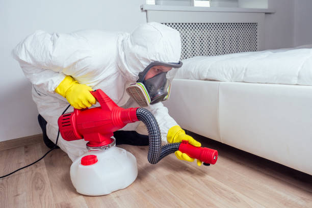 Best Affordable Pest Control Services  in North Richmond, CA