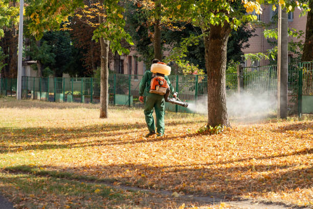 Best Pest Inspection Near Me  in North Richmond, CA