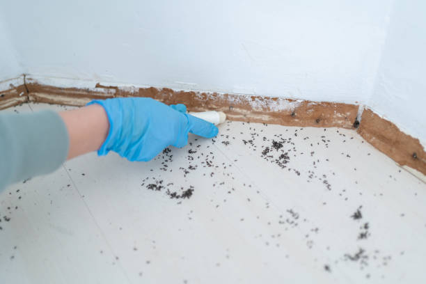 Best Pest Removal Services  in North Richmond, CA